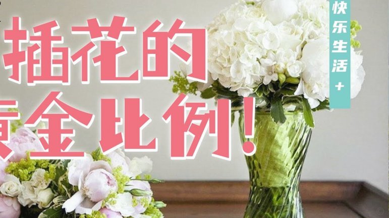 新华社：多地中超上座创纪录 申花15个主场票房可达8000万